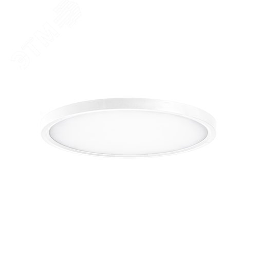 Светильник светодиодный ДБО-38 Вт настенно-потолочный SLIM WHITE 4500K 2700Лм 400x25мм - фото 3