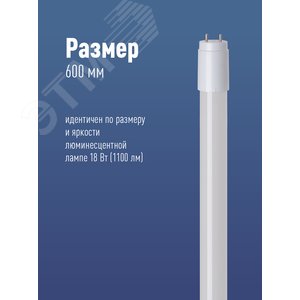 Лампа светодиодная LED 10Вт T8 G13 D25х600 6500К дневной 1100 лм - фото 3