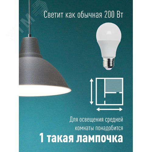 Лампа светодиодная LED 25Вт 220В E27 D65х130 3000К теплый A65 - фото 3