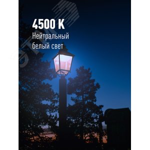 Лампа светодиодная LED 40Вт 220В Е27 D100х168 4500К белый 3800 лм - фото 7