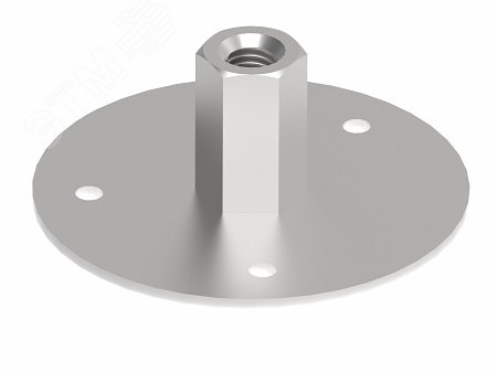 Изображение товара Точка заземления М10 длиной 32 мм для молниезащиты нержавеющая сталь