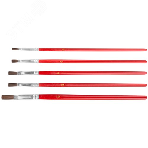 Изображение товара Кисти художественные, натуральная щетина, деревянная ручка, плоские, набор 5 шт (шт)