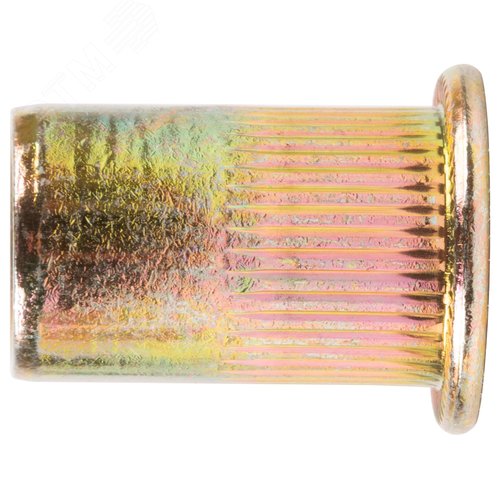 Изображение товара Заклепки резьбовые стальные, мелкая фасовка, М10, 6 шт. (шт)