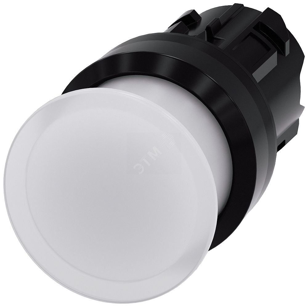 White push button