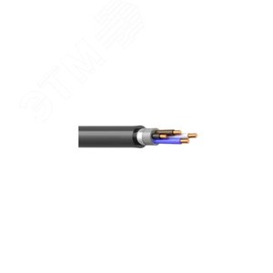 Кабель силовой ВБШвнг(А)-LS 4х2,5ок(N) -0,66 ТРТС - фото 1