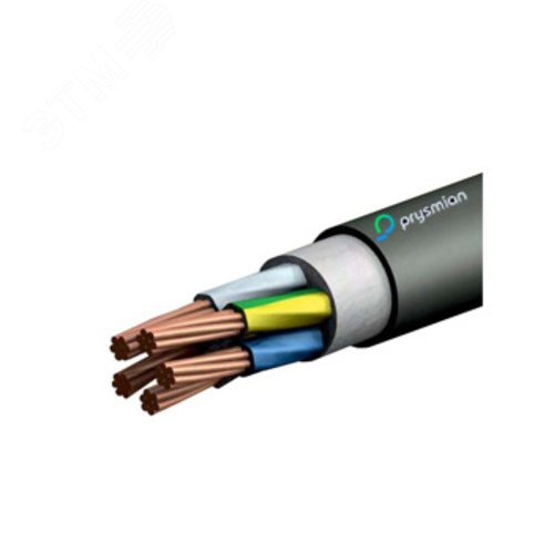 Изображение товара Кабель силовой ППГнг(А)-HF 5х6-0,66 бар (м)