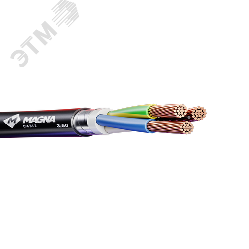 Кабель силовой ВБШвнг(А)-LS 3х50мк(N,PE)-0,66 ТРТС - фото 1