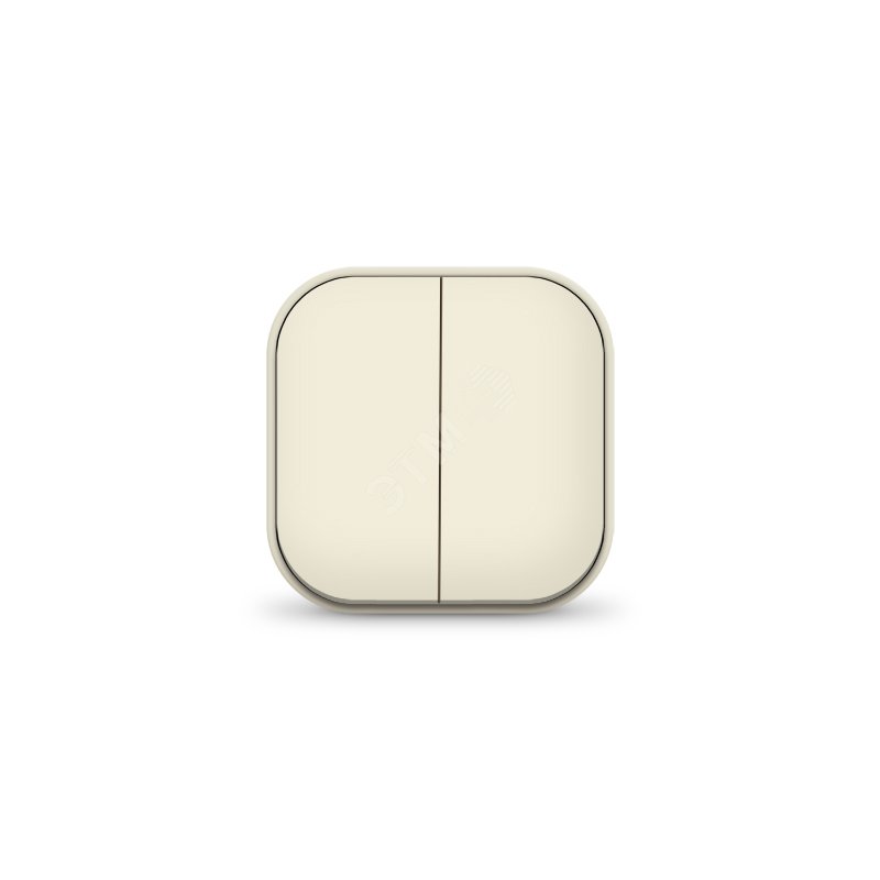 Изображение товара Двухклавишный выключатель серии IONICH 10А 220В бежевый