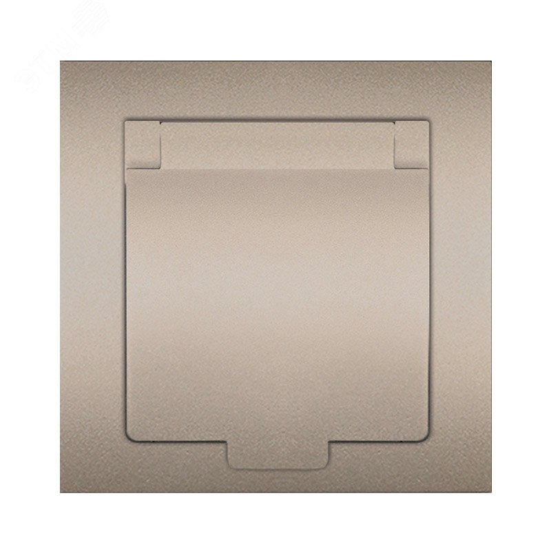 Изображение товара Розетка одноместная с крышкой UNIVersal серия Афинас 16А 220В шампань