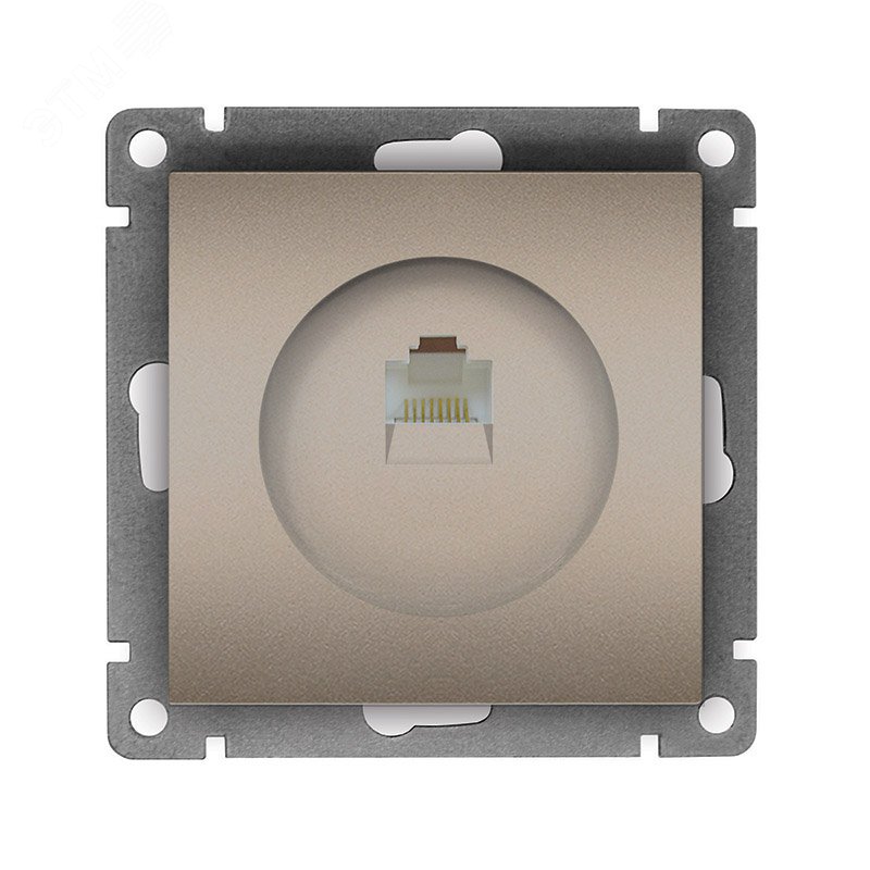 Изображение товара Розетка компьютерная одноместная UNIVersal серия Афина, с/у, 1А, RJ45, шампань (еврослот), механизм (шт)