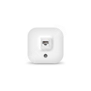 Изображение товара Розетка компьютерная одноместная серия IONICH, о/у, 1А, RJ45, белая (еврослот) (шт)