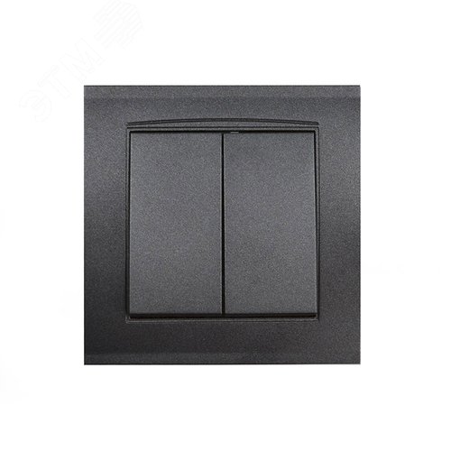Изображение товара Выключатель двухклавишный серия Бриллиант, скрытой установки, 10А, 220В, механизм,графит (шт)