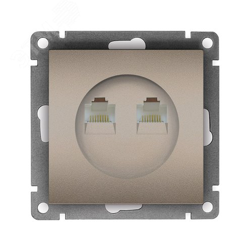 Изображение товара Розетка компьютерная двухместная UNIVersal серия Афина с/у, 1А, RJ45, шампань (еврослот), механизм (шт)