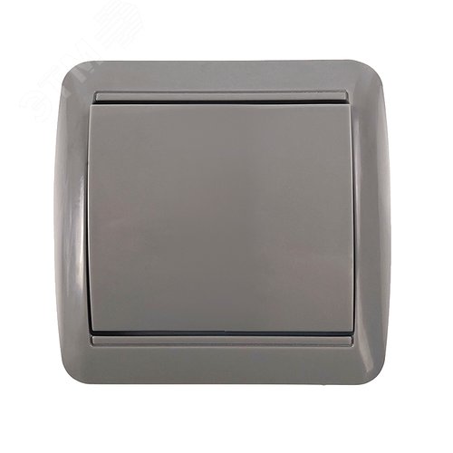 Изображение товара Клио выключатель одноклавишный, IP44, о/у, 10А, 220В, серый (еврослот) (шт)