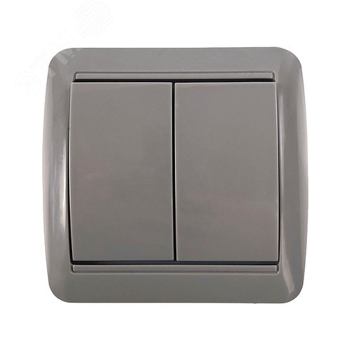 Изображение товара Клио выключатель двухклавишный, IP44, о/у, 10А, 220В, серый (еврослот) (шт)