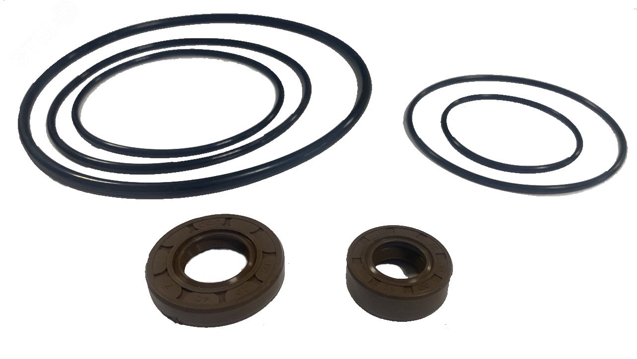 Изображение товара Ремкомплект к гидротолкателю ТЭ-30 ЭТК ремонтный комплект запчасти