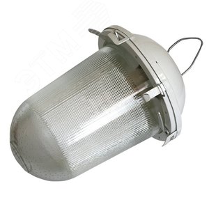 Светильник НСП-02-100-001 без решетки окрашенный IP52
