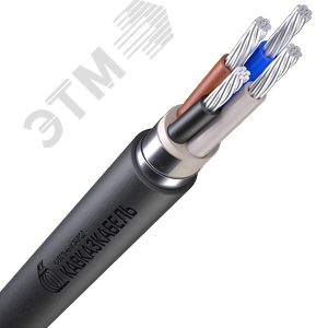 Кабель силовой АВБШв 4х25мк(N)-0,66 ТРТС - фото 1