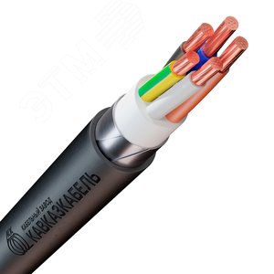 Кабель силовой ВБШв 5х25мк(N,PE)-1 ТРТС - фото 1