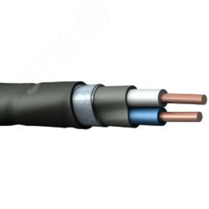 Кабель силовой ВБШвнг(А) 2х6 ок (N)-1 ТРТС - фото 1