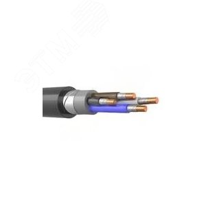 Кабель силовой ВБШвнг(А)-FRLS 4х6ок (N)-0,66 ТРТС - фото 1