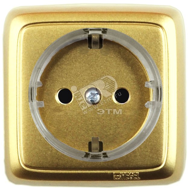 Изображение товара Розетка наружная с заземлением и шторками серия Alfa от HEGEL, золотая