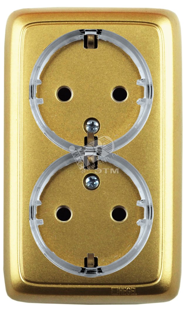 Розетка двойная наружная с заземлением с шторками с изолирующей пластиной (стакан) золото РА16-184-07 HEGEL