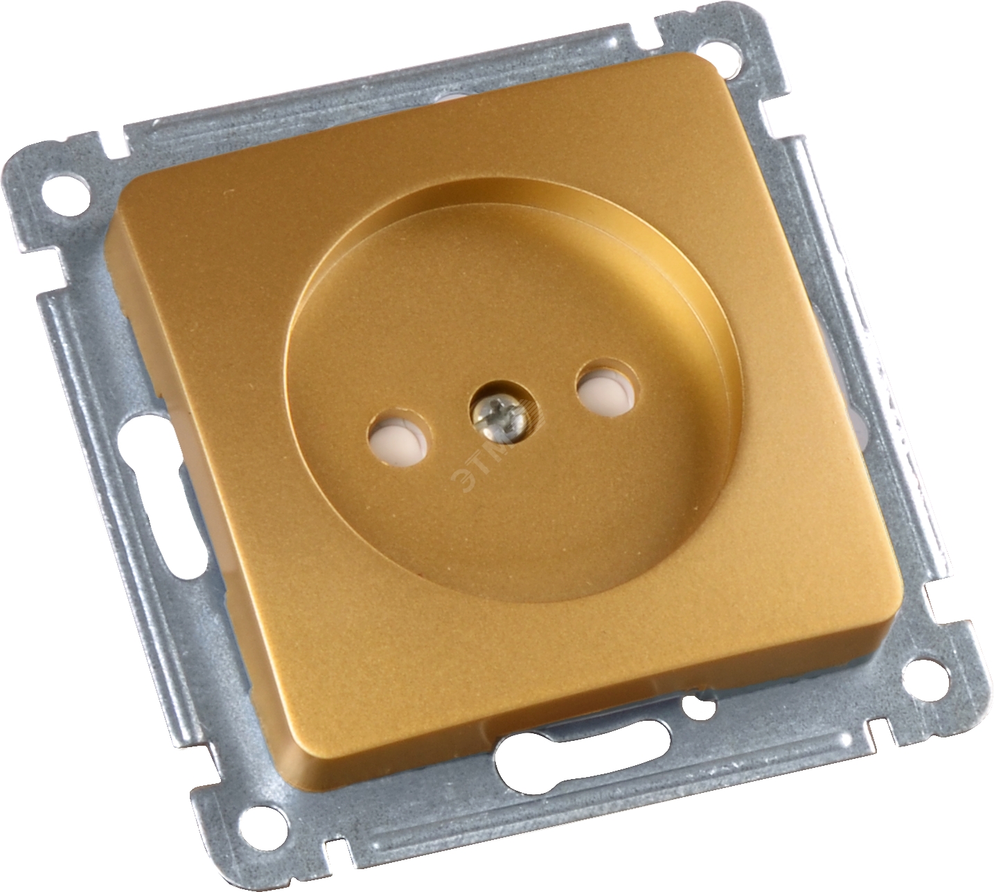 Изображение товара Однопостовая розетка со шторками серия MASTER от HEGEL 220 В золотой цвет