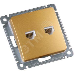 Изображение товара MASTER Розетка компьютерная на два присоединения, скрытой установки, в рамку, золото (шт)