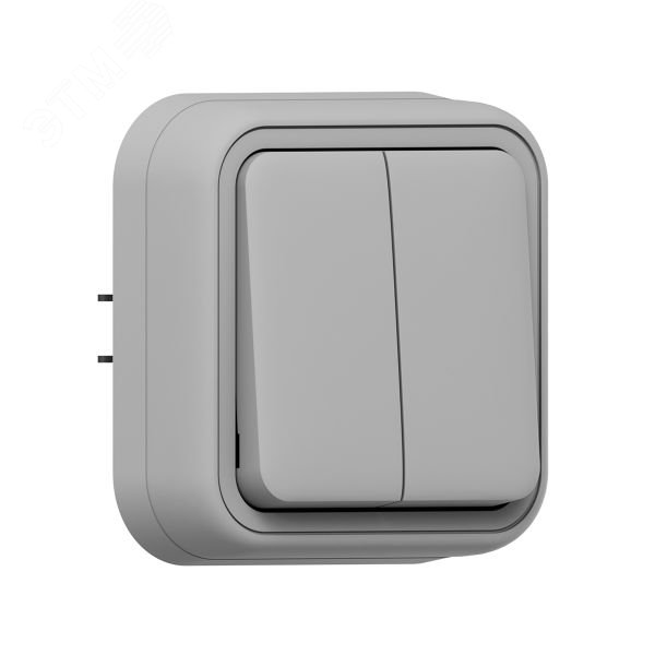 Изображение товара Выключатель, двухклавишный, проходной, СП, автоматические клеммы серый, Бронто EKF (шт)