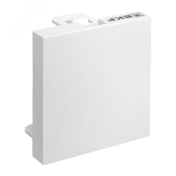 Изображение товара Модульная заглушка для напольных лючков и кабельных каналов EKF PROxima 2 модуля
