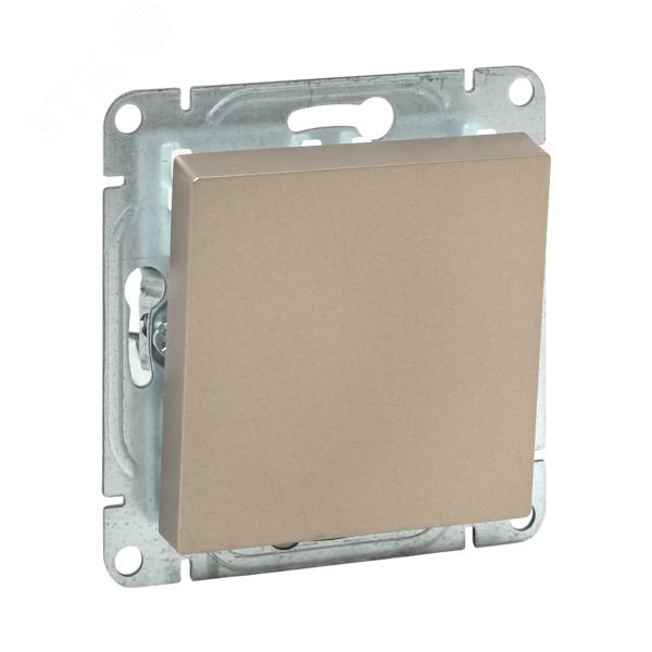 Изображение товара Одноклавишный проходной выключатель Эпика EKF шампань 230В корпус IP20