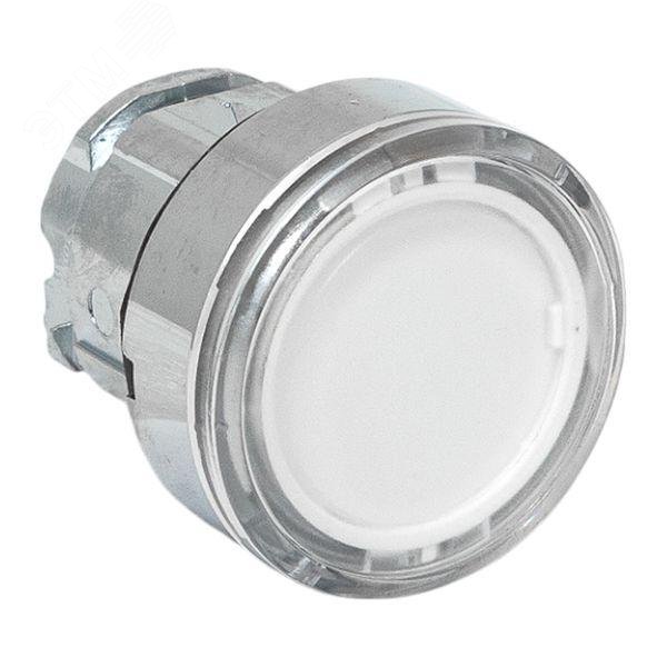 Изображение товара Исполнительный механизм кнопки XB4 белый плоский возвратный с подсветкой IP65