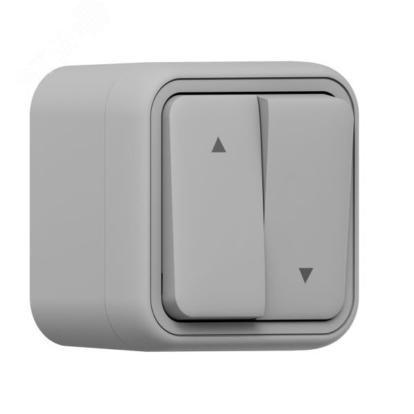 Изображение товара Выключатель для жалюзи EKF Серия Бронто 2-клавишный IP55 серый