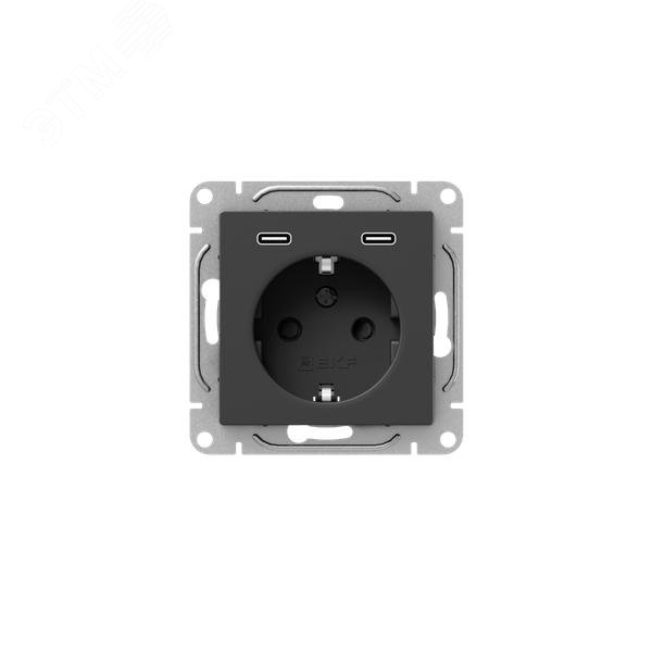 Изображение товара Эпика Розетка с USB-C 16А черный 2шт с заземлением