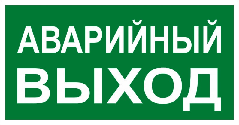 Знак ''АВАРИЙНЫЙ ВЫХОД'' 150х300мм PROxima