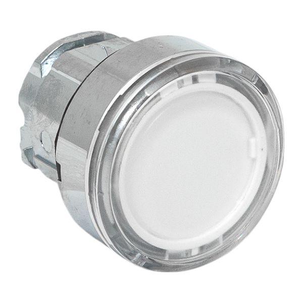 Исполнительный механизм кнопки XB4 белый плоский возвратный без фиксации, с подсветкой IP65