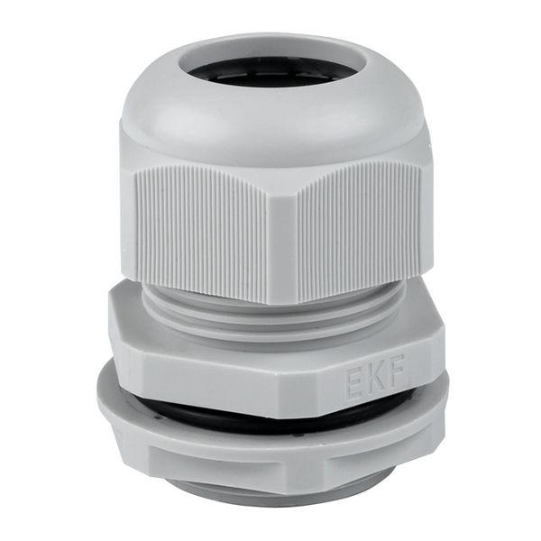 Сальник PG29 IP54  d отв. 36 мм / d провод. 18-25 мм PROxima