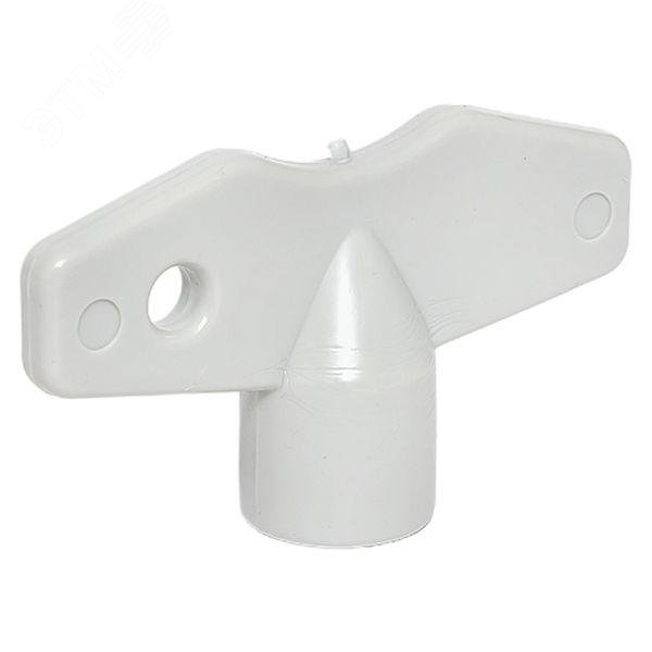 Изображение товара Ключ для замка треугольник PROXIMA EKF IP65 шт