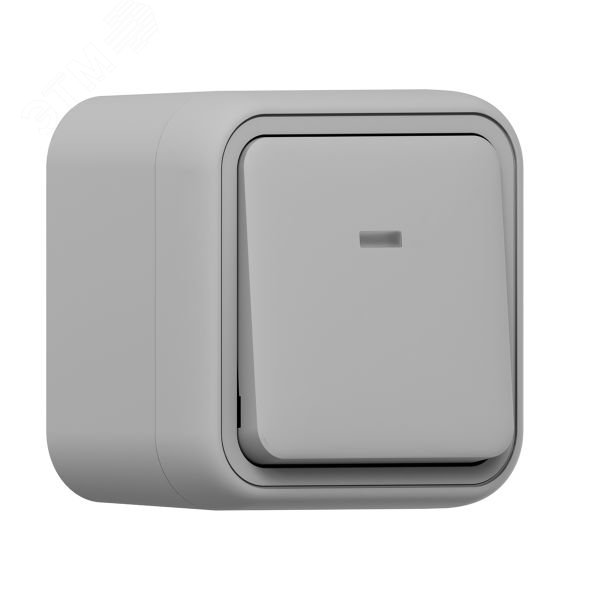 Изображение товара Выключатель, одноклавишный, проходной, с подсветкой, ОП, автоматические клеммы серый, Бронто EKF (шт)