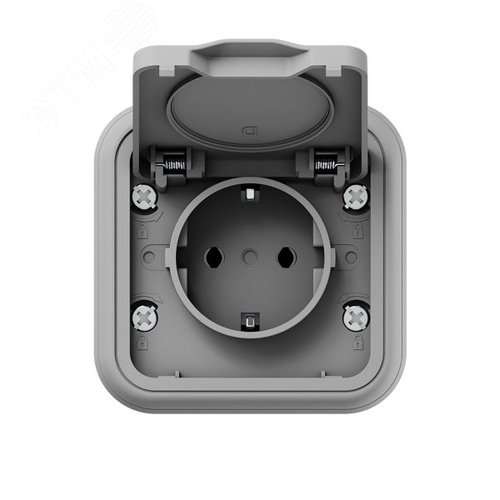 Розетка, одноместная, СП, винтовые клеммы серый, Бронто EKF - фото 4