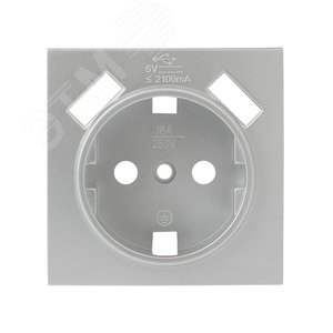 Валенсия лицевая панель розетки 1-местной с/з 16А сталь с защ. штор. с 2 USB 2,1А - фото 2