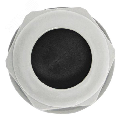 Сальник PG25 IP54 (2 шт) d отв. 31 мм / d провод. 16-21 мм PROxima - фото 6