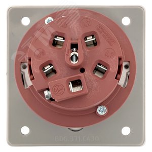 Розетка стационарная внутренняя угловая 4252 3Р+РЕ+N 32А 380В IP67 PROxima - фото 4