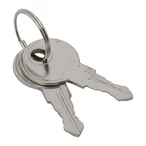 Ключ для замка (арт. 18-20/38-ip31) PROxima - фото 1