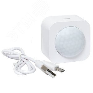 Умный датчик движения Zigbee Connect - фото 2