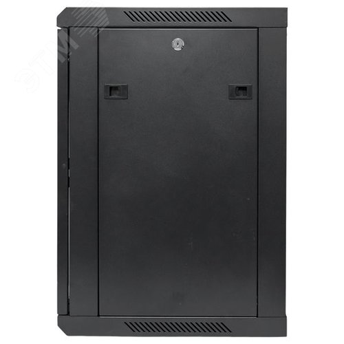 Шкаф настенный 19' TERACOM PRO 12U 600х450 мм дверь стеклянная с замком-ручкой чёрный - фото 9