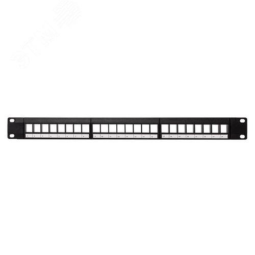 Патч-панель модульная TERACOM PRO 19'1U неэкранированная 24 порта с органайзером (пустая) - фото 2
