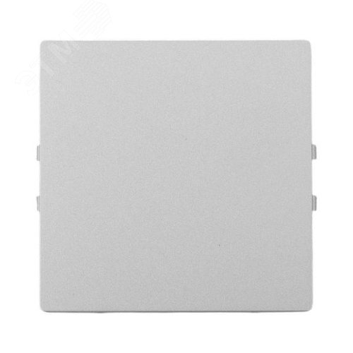 Эпика Заглушка алюминий EKF - фото 2