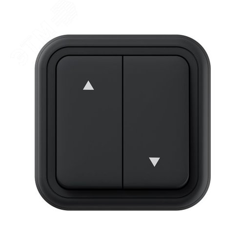 Розетка, одноместная, СП, винтовые клеммы серый, Бронто EKF - фото 5